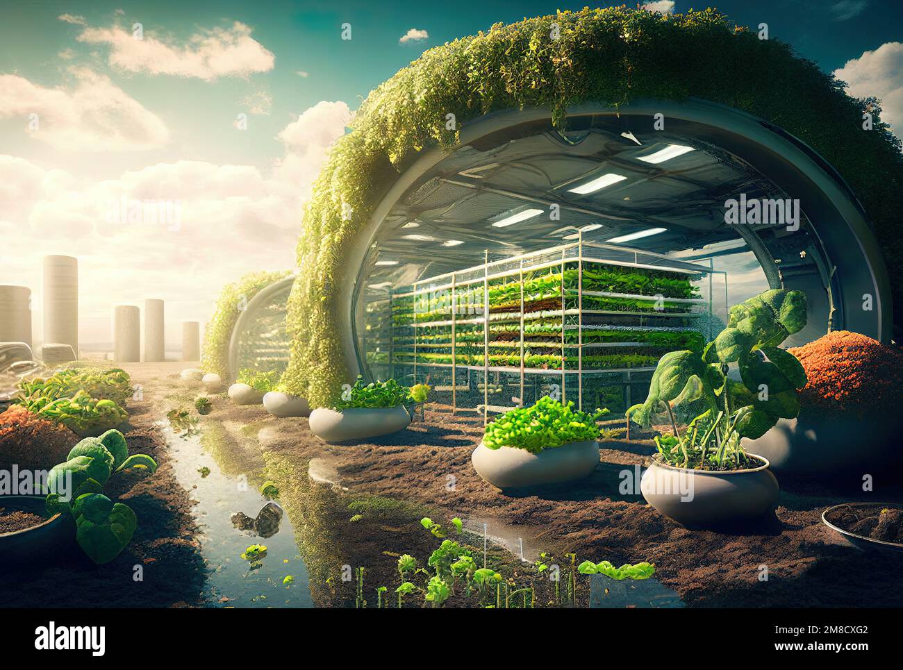 growing vegetables and horticultural crops through hydroponics in a