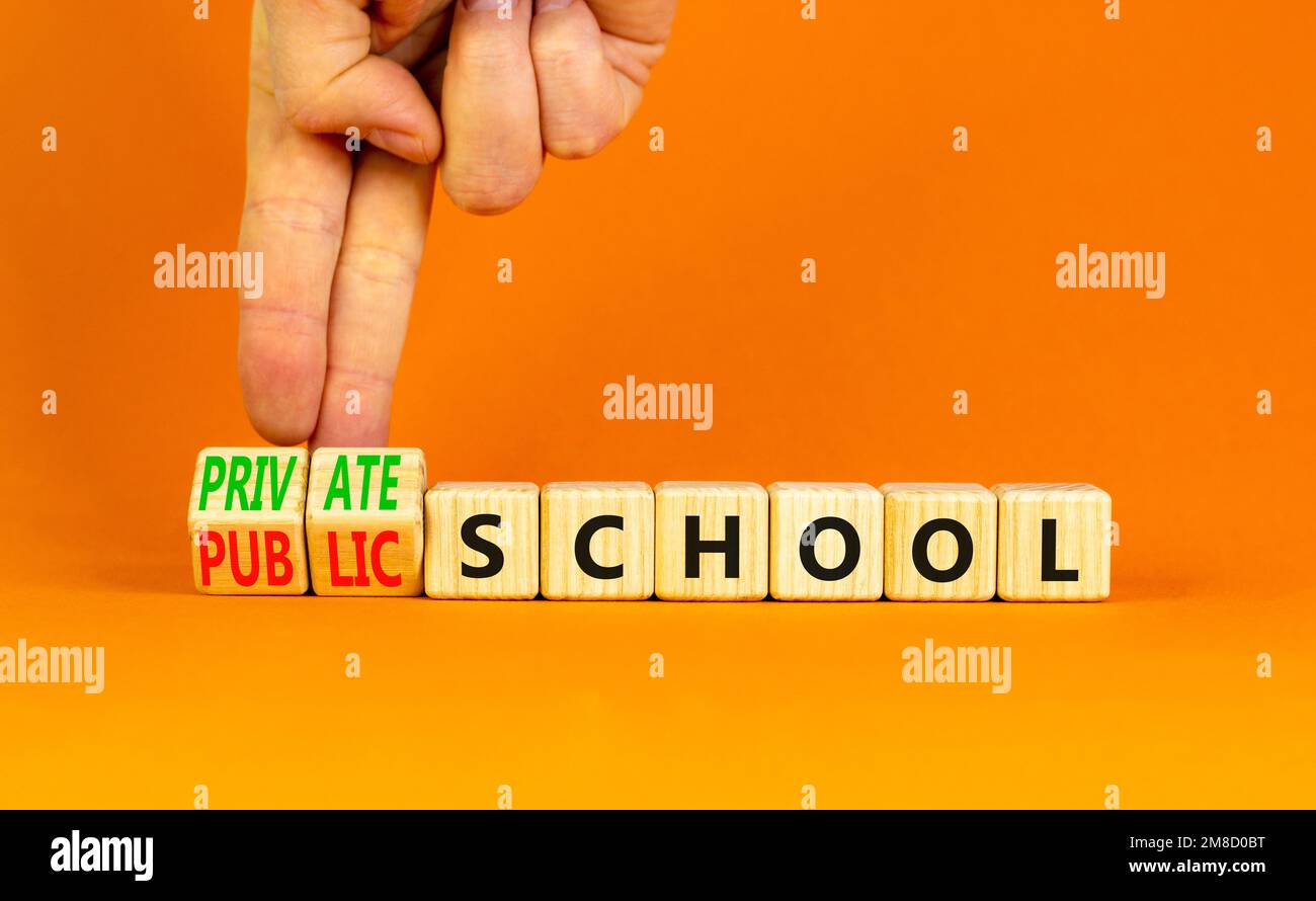 Public or private school symbol. Concept word Public school Private school on wooden cubes