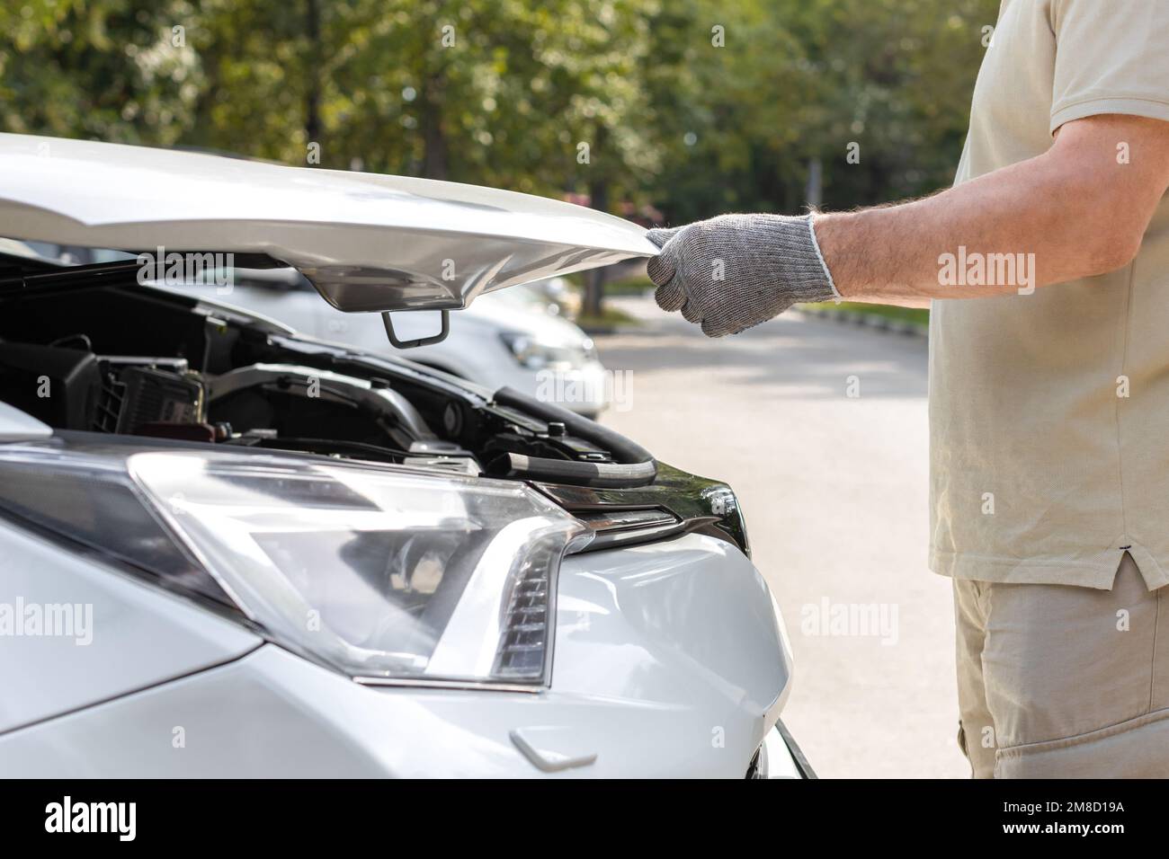 the master opens the hood of the car. the driver opens the hood of the