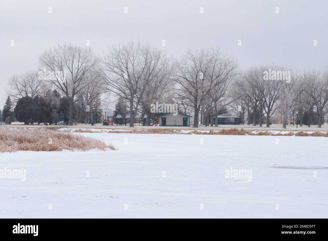 Gillette, Wyoming January 25, 2021 Trees and restroom across the