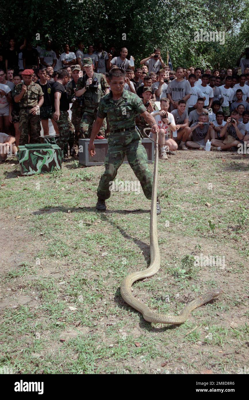 Members of 4th Bn., 22nd Inf., 25th Inf. Div. (Light), watch as a Royal Thai Army instructor teaches a class on the types of dangerous snakes found in Thailand. The 25th Infantry Division soldiers are in Thailand for the combined Thai/U.S. exercise Cobra Gold '90. Subject Operation/Series: COBRA GOLD '90 Base: Chon Buri Country: Thailand (THA) Stock Photo