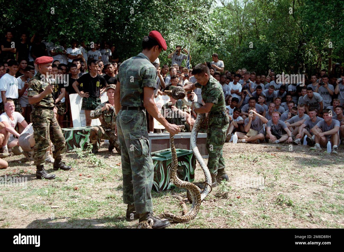 Members of 4th Bn., 22nd Inf., 25th Inf. Div. (Light), watch as two Royal Thai Army instructors display two types of dangerous snakes found in Thailand. The 25th Infantry Division soldiers are in Thailand for the combined Thai/U.S. exercise Cobra Gold '90. Subject Operation/Series: COBRA GOLD '90 Base: Chon Buri Country: Thailand (THA) Stock Photo