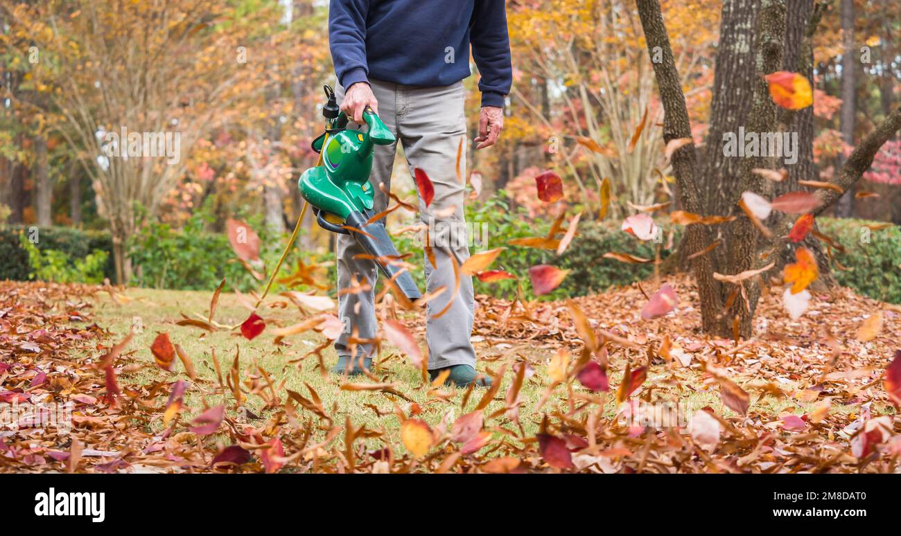 Man using electric powered leaf blower to blow autumn leaves from grass