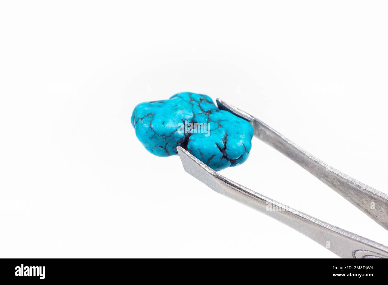 Bright light blue Turquoise crystal gem in the pincers on light background close up with copy space. Stock Photo