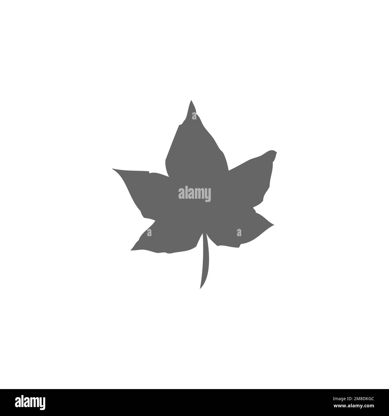 Maple leaf icon, common graphic resources, vector illustration Stock ...