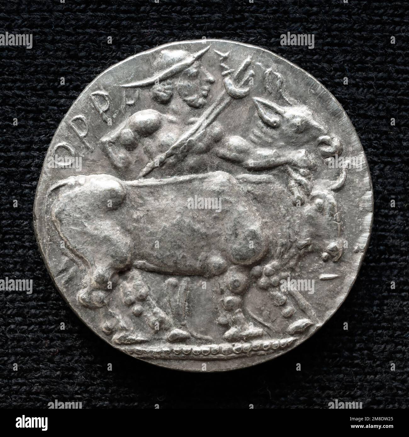 Ancient coin with image of bull, old rare money, silver artifact isolated on dark background, macro. Concept of Roman and Greek coin, past civilizatio Stock Photo