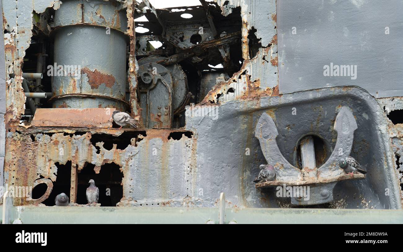 Pigeons living in an old U Boat, Woodside Ferry Terminal, Birkenhead. Image taken in July 2022. Stock Photo