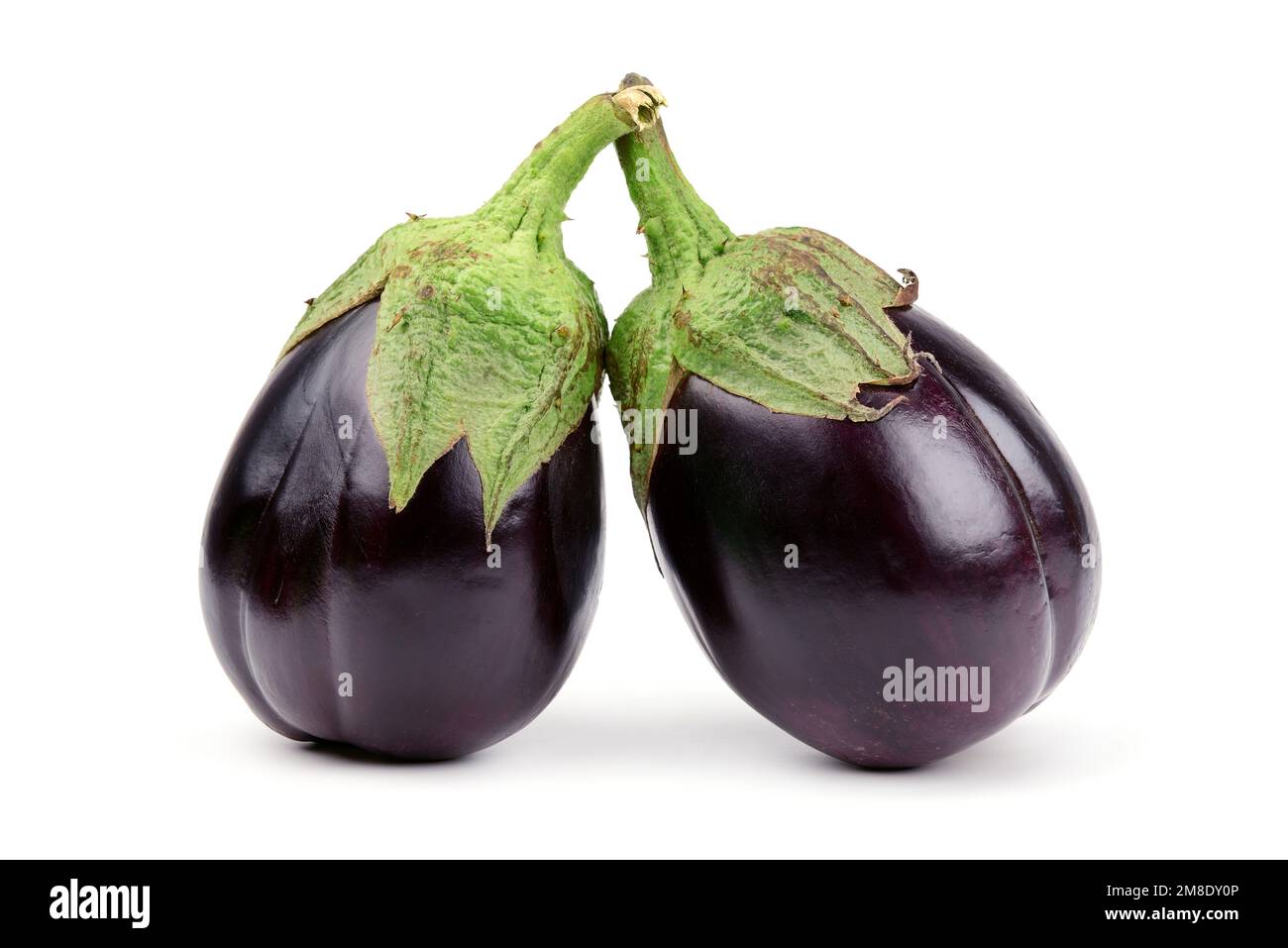 Two aubergine isolated on a white background. Stock Photo