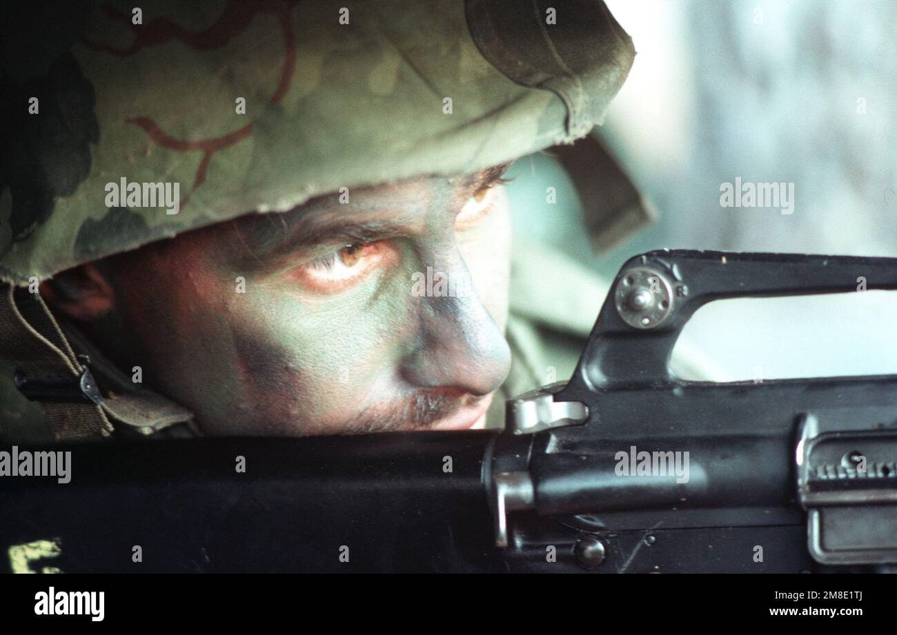 A member of a United States Navy construction battalion sights his M16A1 rifle during a combat training exercise. Base: Fort Hunter Liggett State: California (CA) Country: United States Of America (USA) Stock Photo