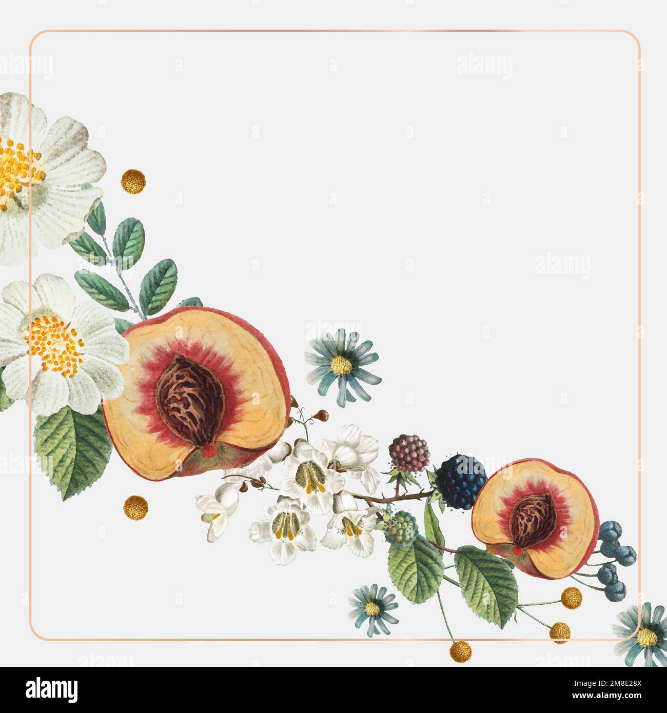 Vintage gold frame vector botanical background Stock Vector