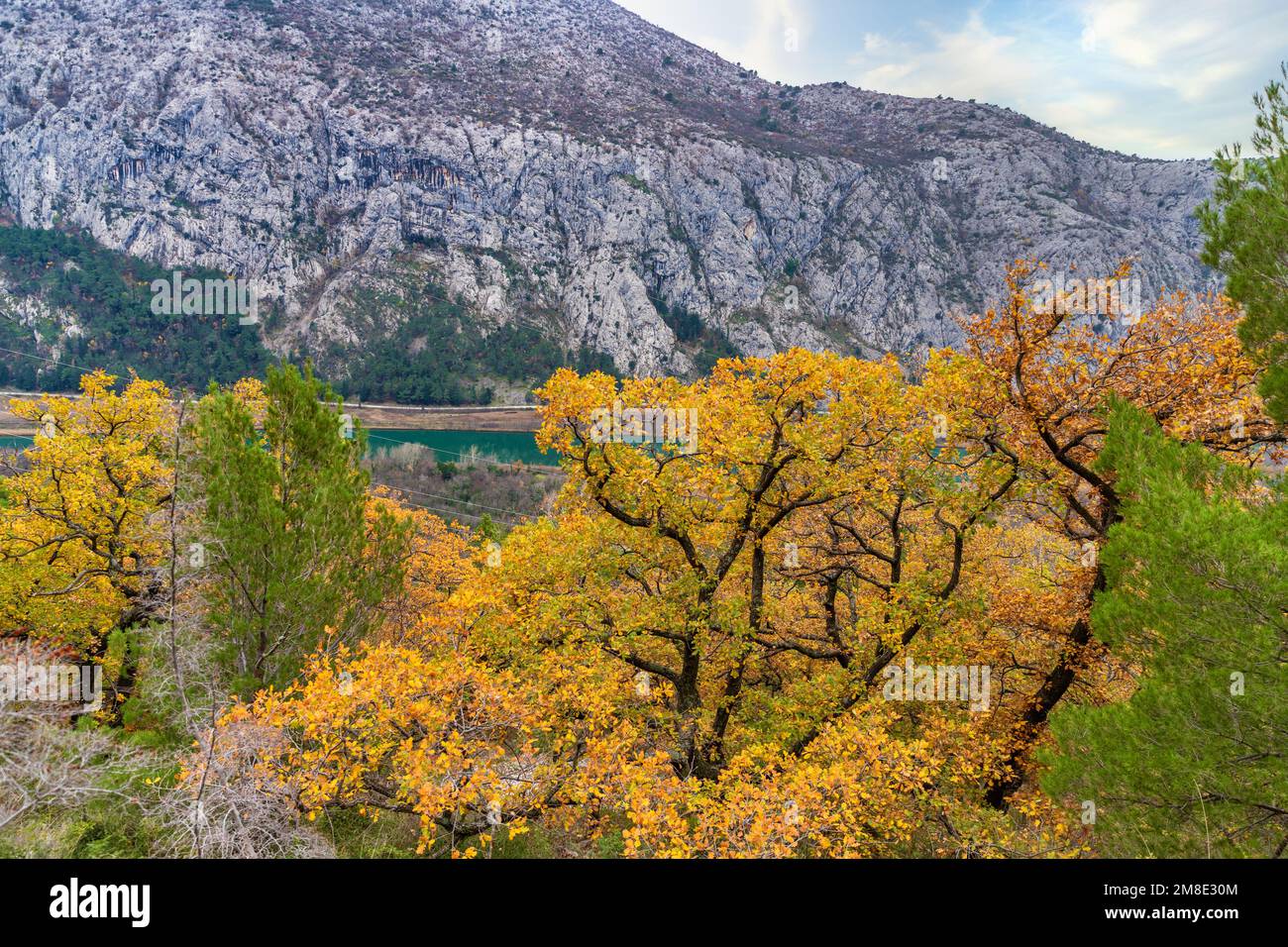 River Cetina, Omiš and mountains in Croatia. Croatian nature landscape. December on the Adriatic sea coast. Stock Photo