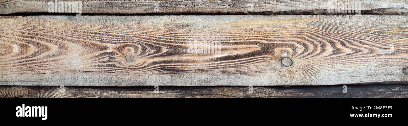 Natural texture from burnt pine boards as a background with copy space. Stock Photo
