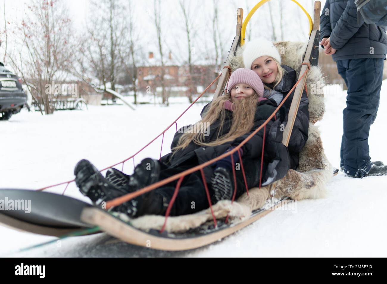 cold alaska competition team sleigh running sledge sled dog teamwork ...