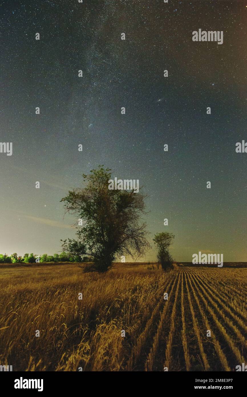 Night landscape with cloudy sky and Milky Way galaxy and Andromeda galaxy. Above the cleared agriculture field and the tree Stock Photo