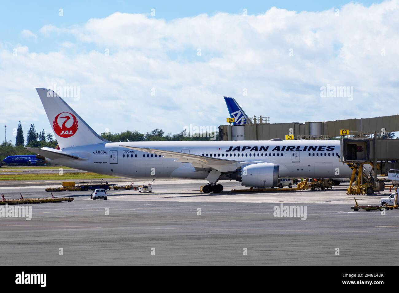 Japan Airlines Boeing 7878 Dreamliner airplane registration number