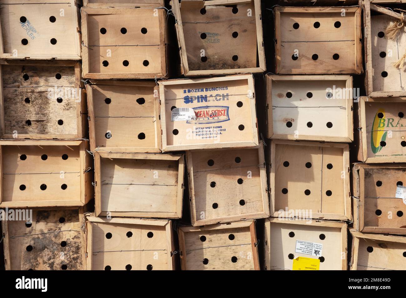 An array of empty wooden crates forming a pattern. Outside a grocery store on Bedford Avenue in Williamsburg, Brooklyn, New York City. Stock Photo