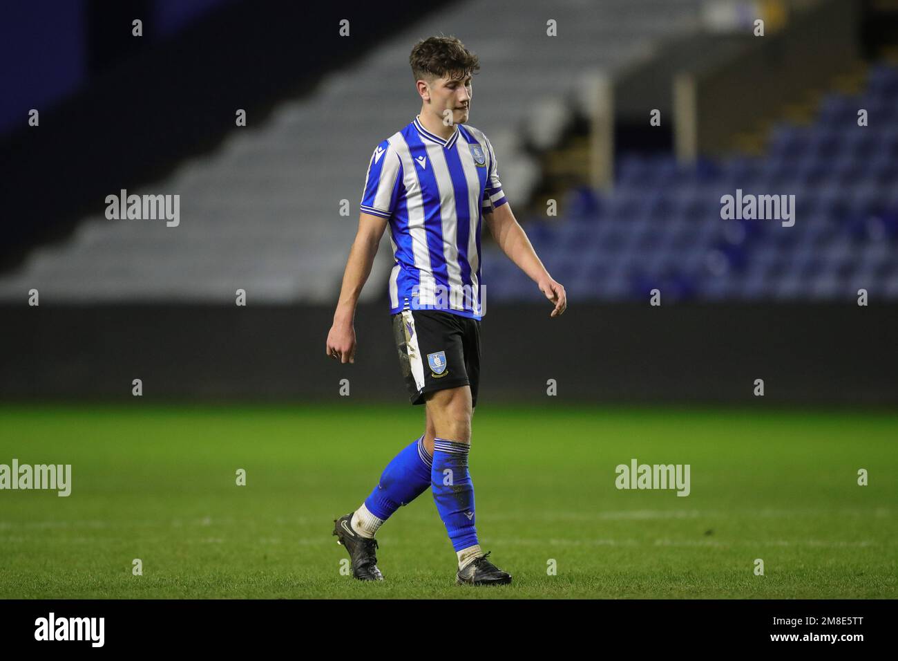 Sheffield Wednesday Youth (@WednesdayYouth) / X