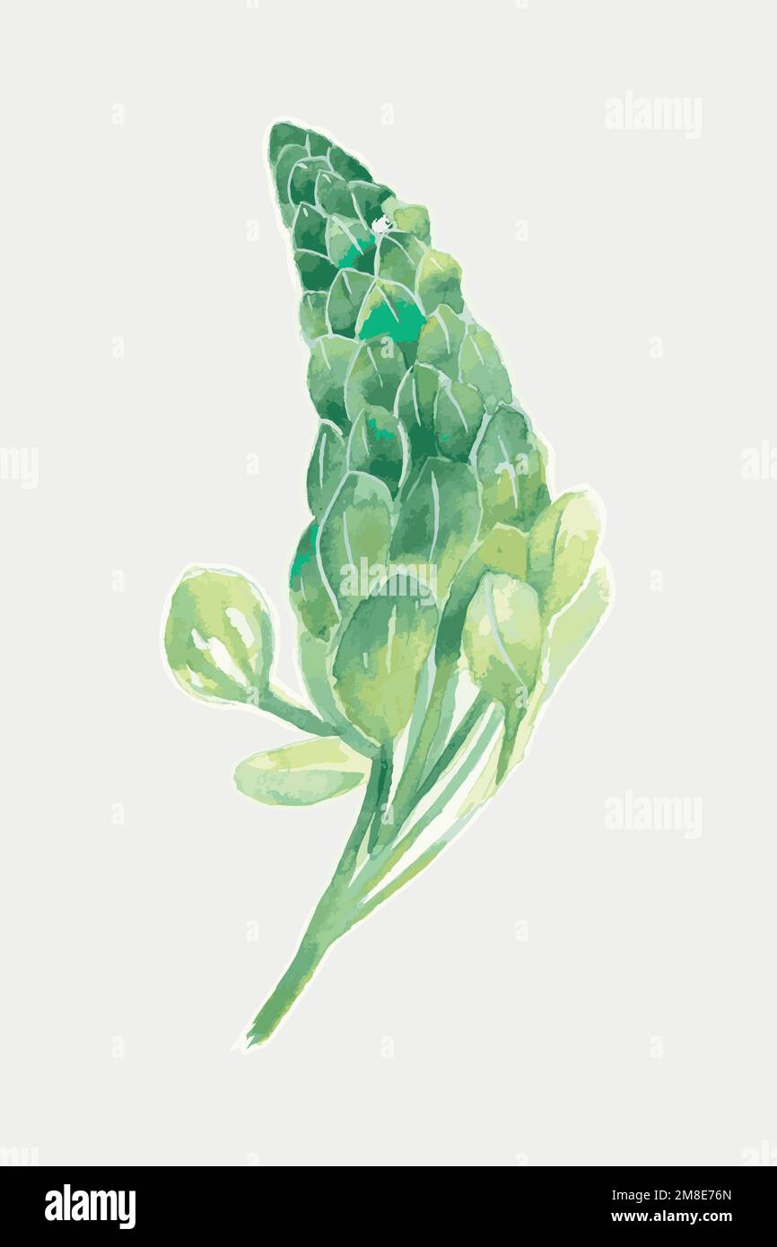 Lupine flower vector drawing element graphic Stock Vector Image Art