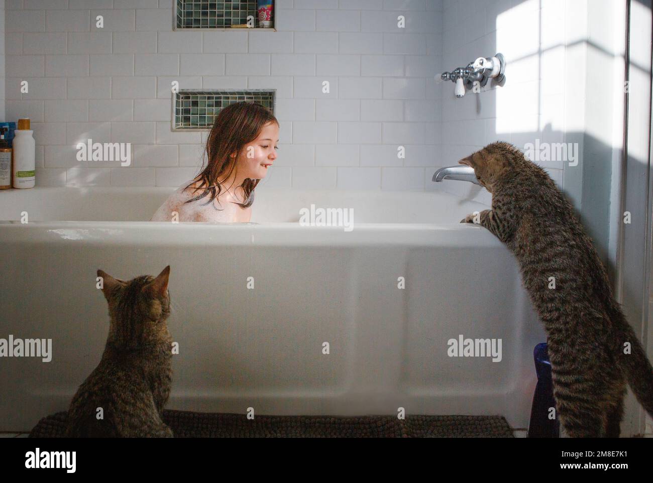 A little girl takes a bubble bath while two cats keep her company Stock