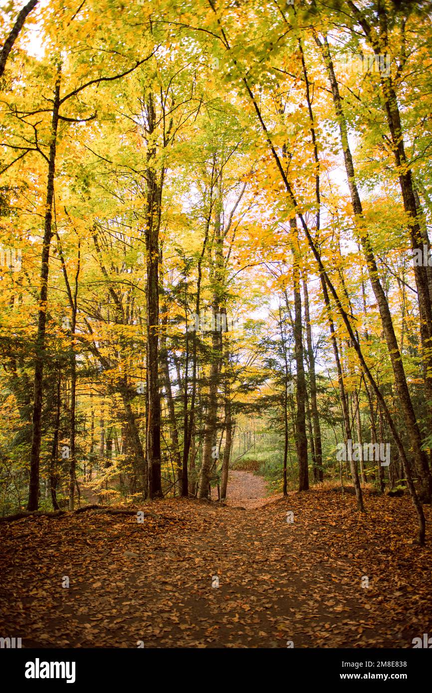 Fall Foliage trail in Stowe, Vermont Stock Photo