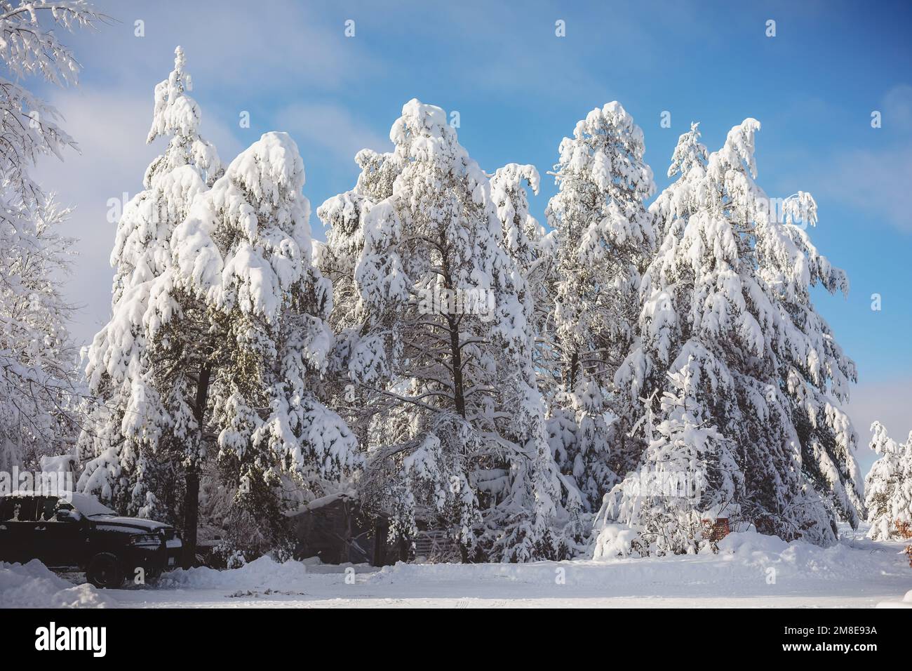 Chicken coop in winter in Wisconsin Stock Photo Alamy
