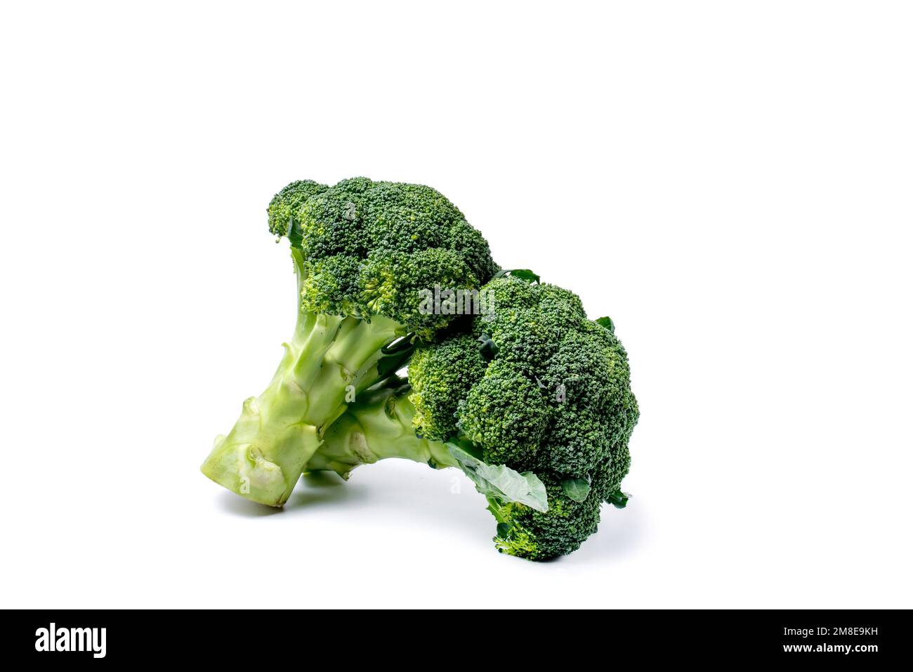 Fresh broccoli isolated on white background. Clipping path included. Stock Photo