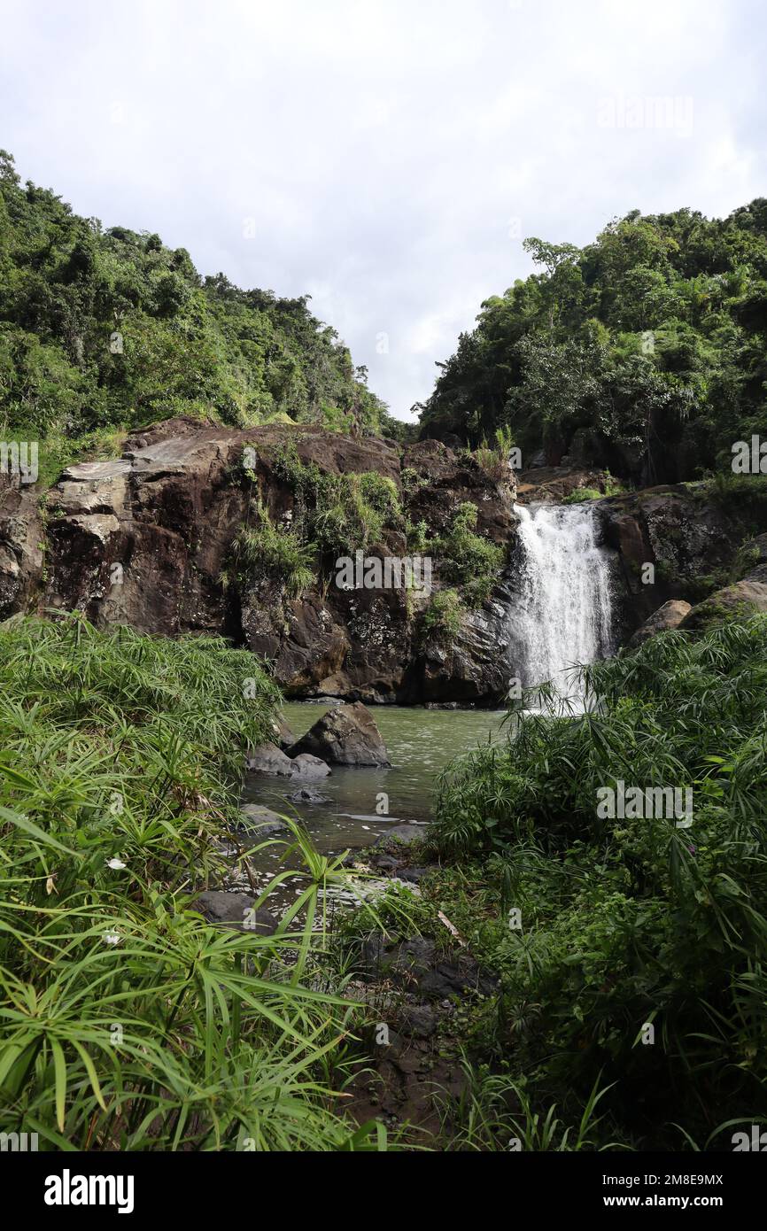 Waterfall in el yunque forest, Puerto Rico Stock Photo Alamy