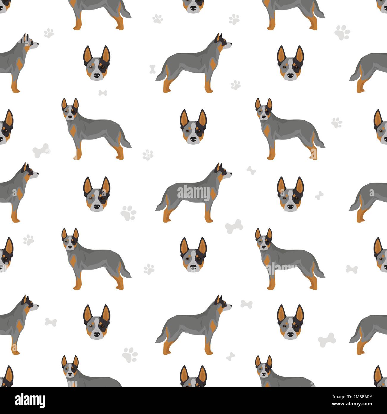 Blue speckled australian cattle dog Stock Vector Images Alamy