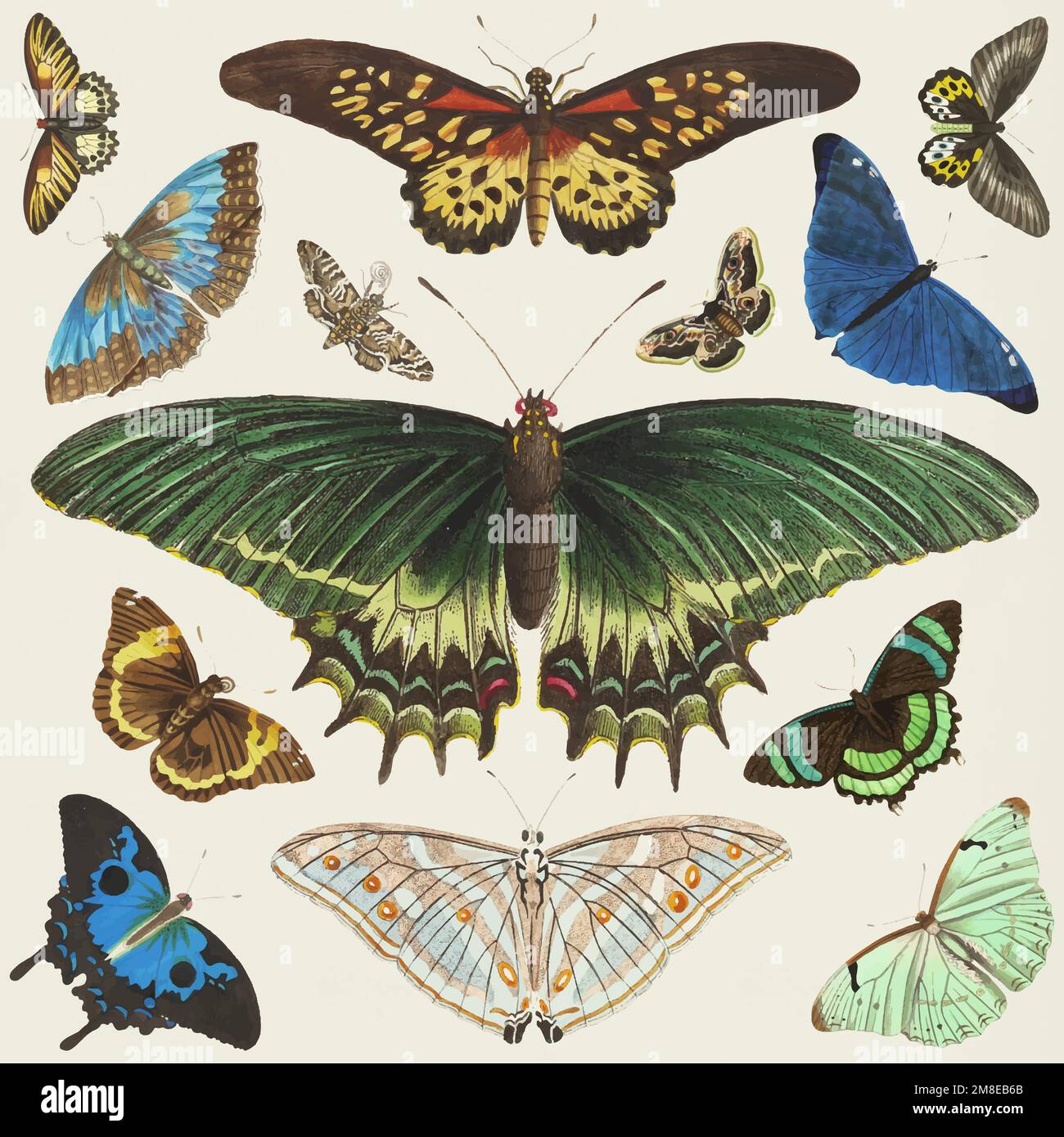 Butterfly vintage clipart collection vector Stock Vector