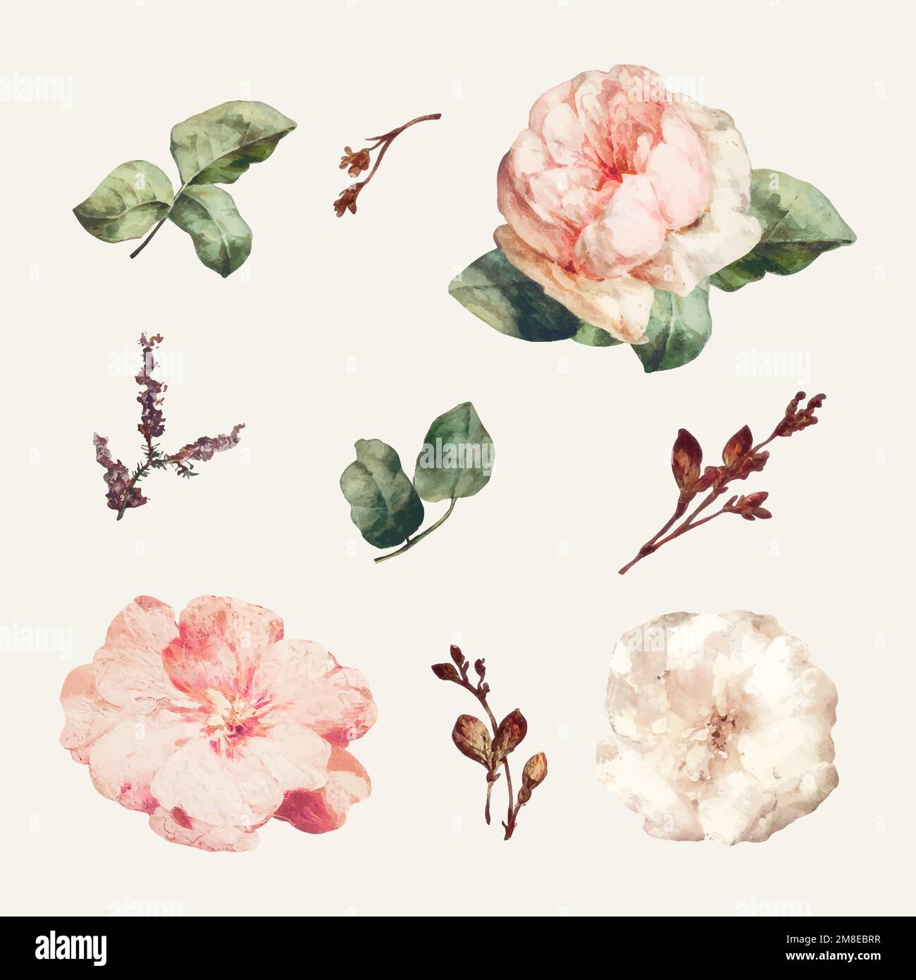 Vintage floral set illustration set vector Stock Vector Image & Art - Alamy
