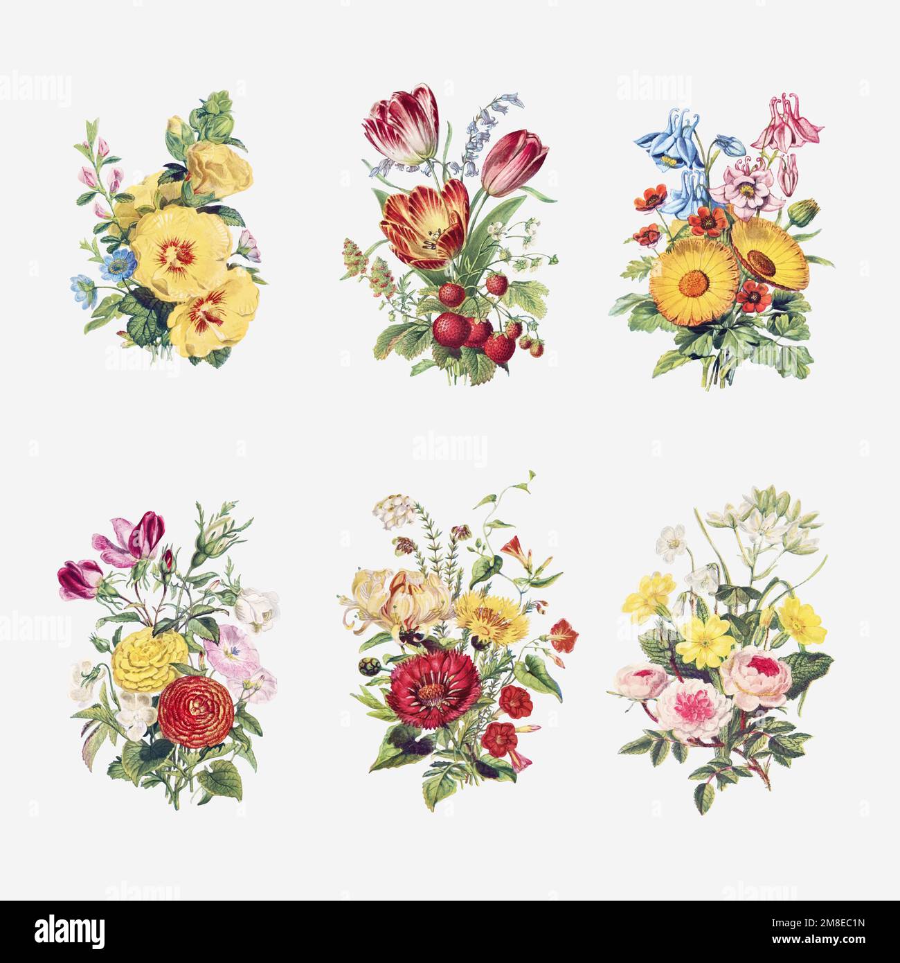 Vintage flowers bouquet collection vector Stock Vector Image & Art Alamy