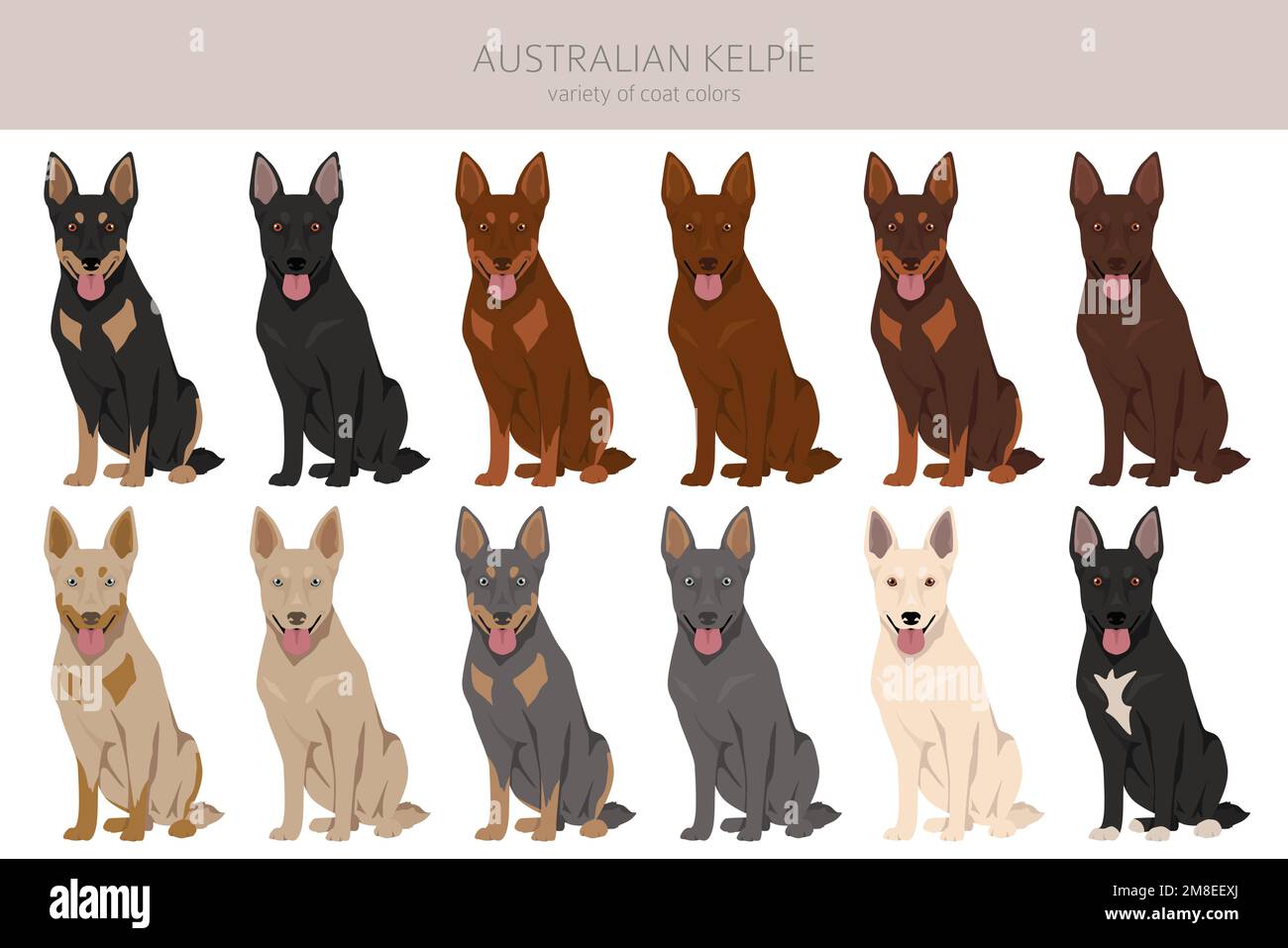 Australian Kelpie All Colours Clipart Different Coat Colors Set 