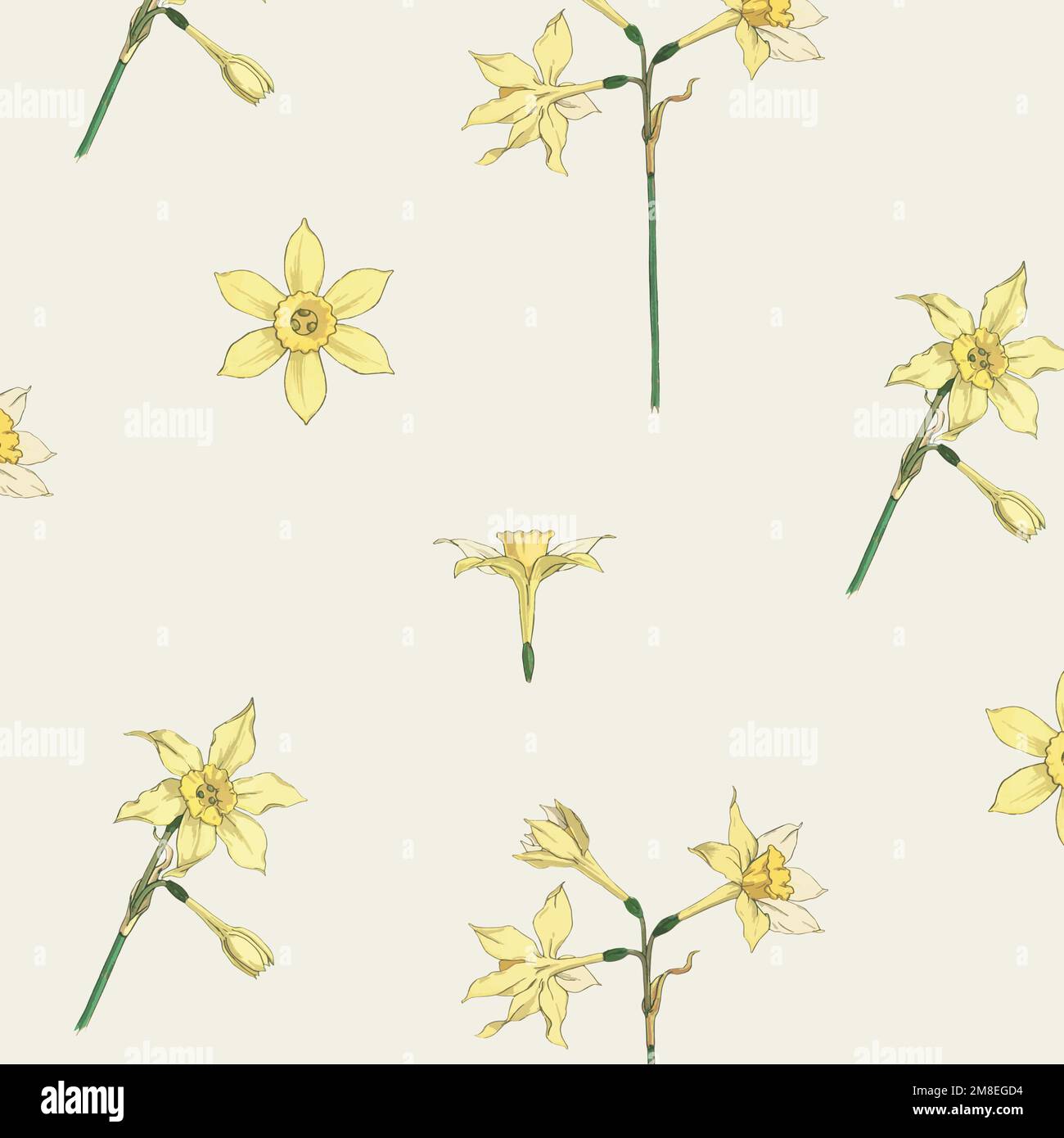 vintage-jonquil-flower-pattern-vector-design-resource-stock-vector