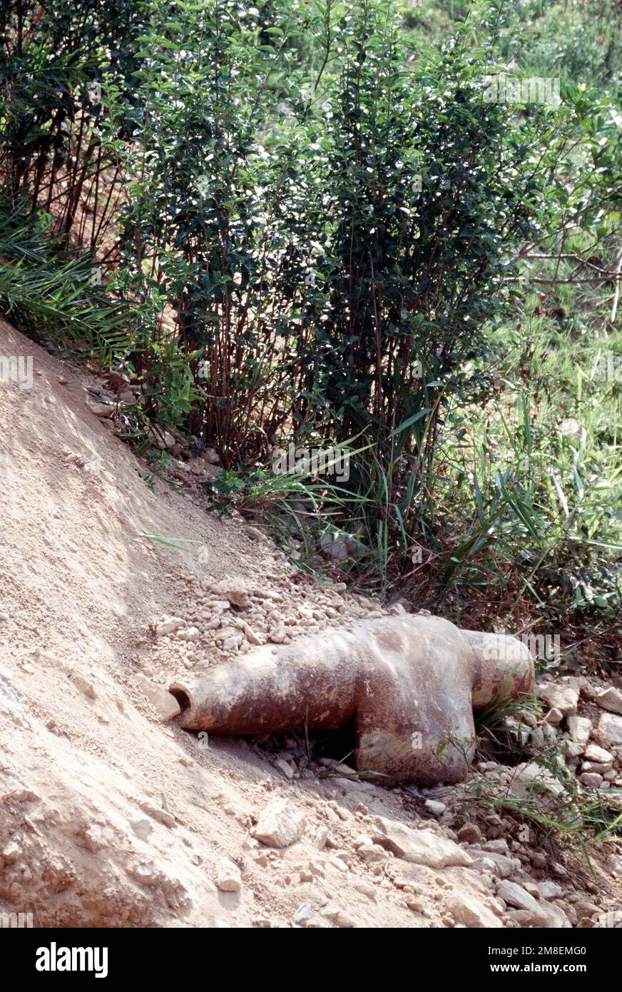The remains of a bomb lie near an aircraft crash site on Dong Nua Mountain, Quang Binh Province. Members of a joint U.S./Vietnamese anthropological team are working in the area in an effort to locate remains of American soldiers listed as missing in action (MIA).. Country: Viet Nam(VNM) Stock Photo