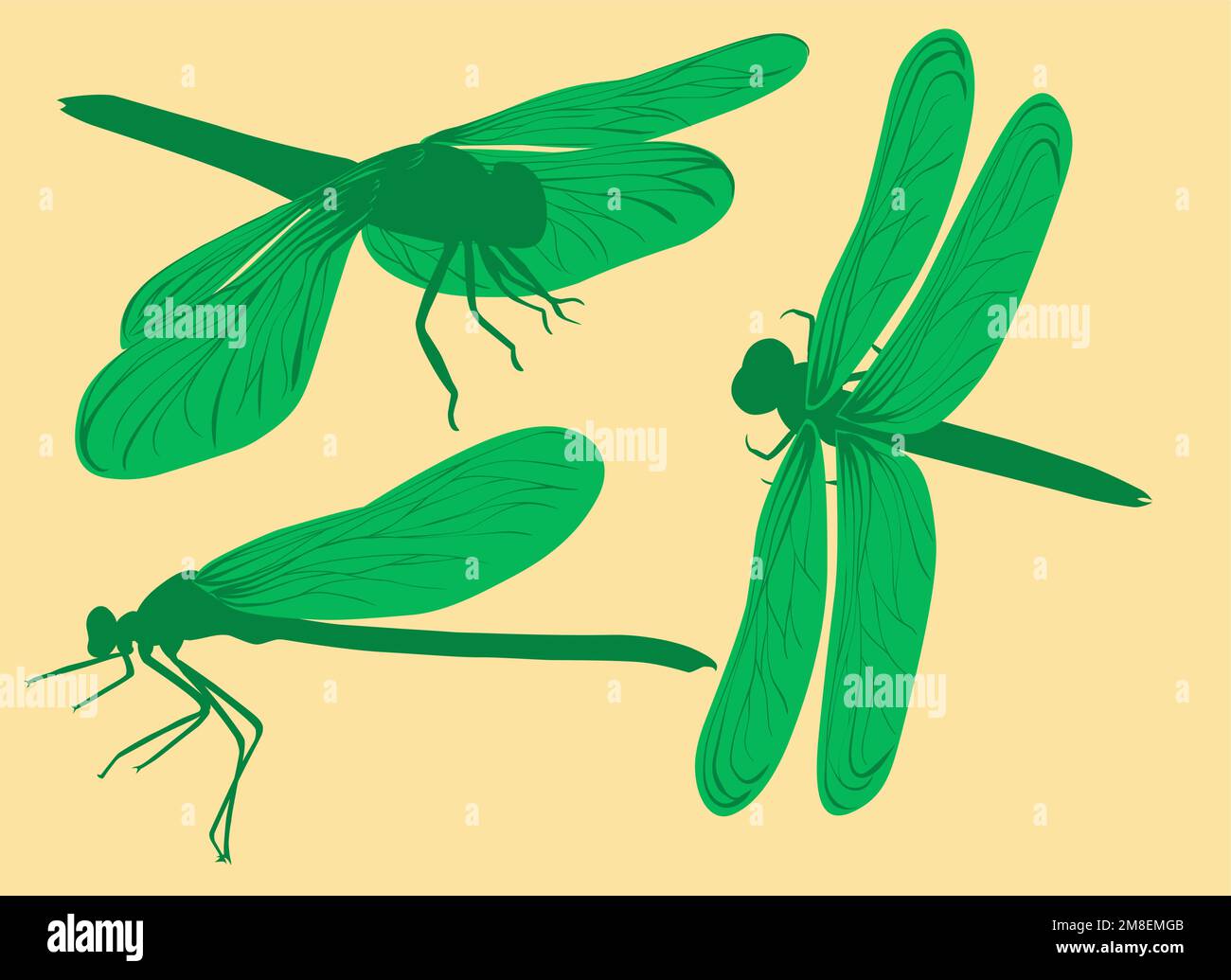 set green dragonfly symbol elements for design Stock Vector