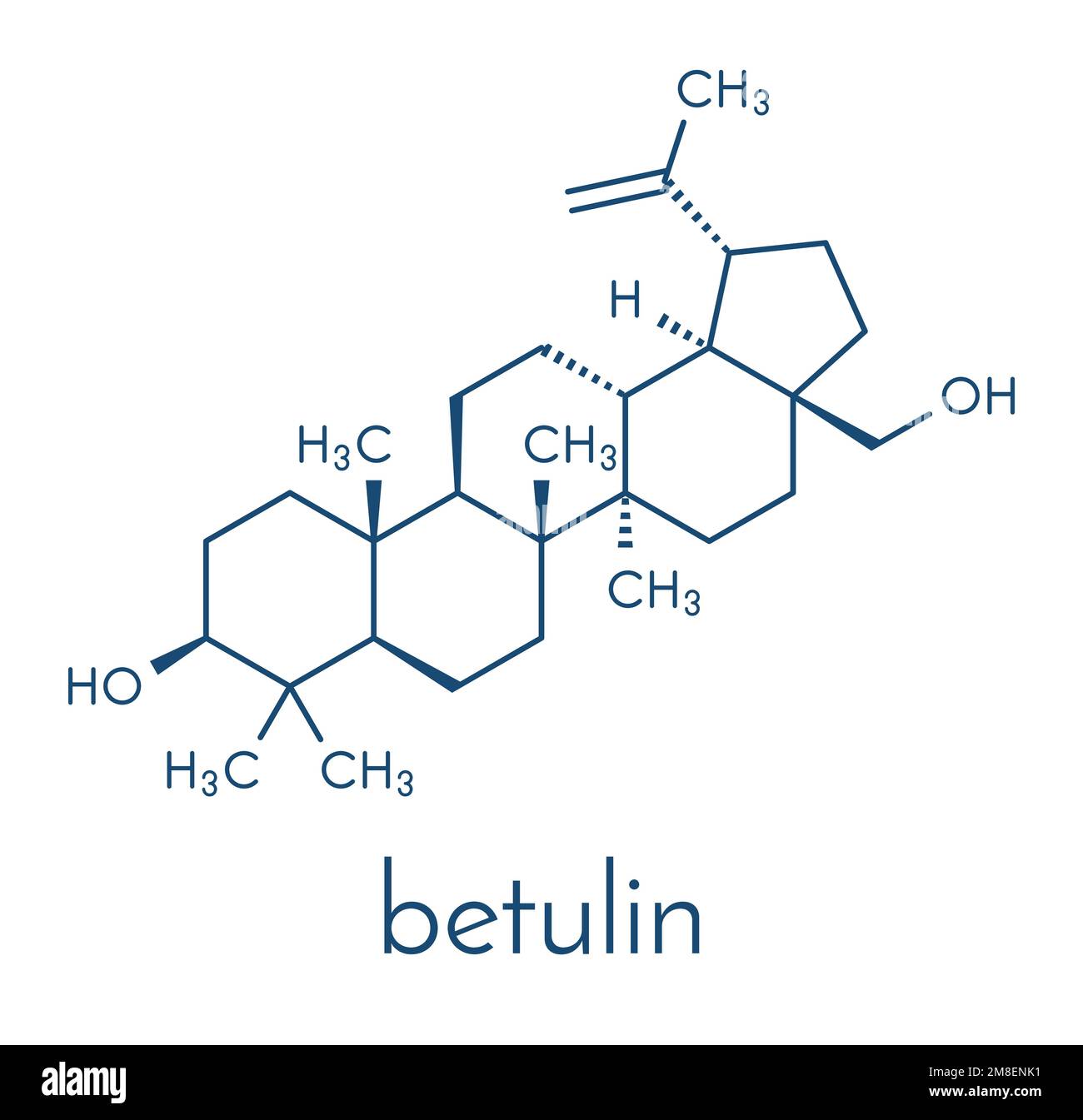 Betulin drug molecule. Isolated from birch tree bark. Skeletal formula