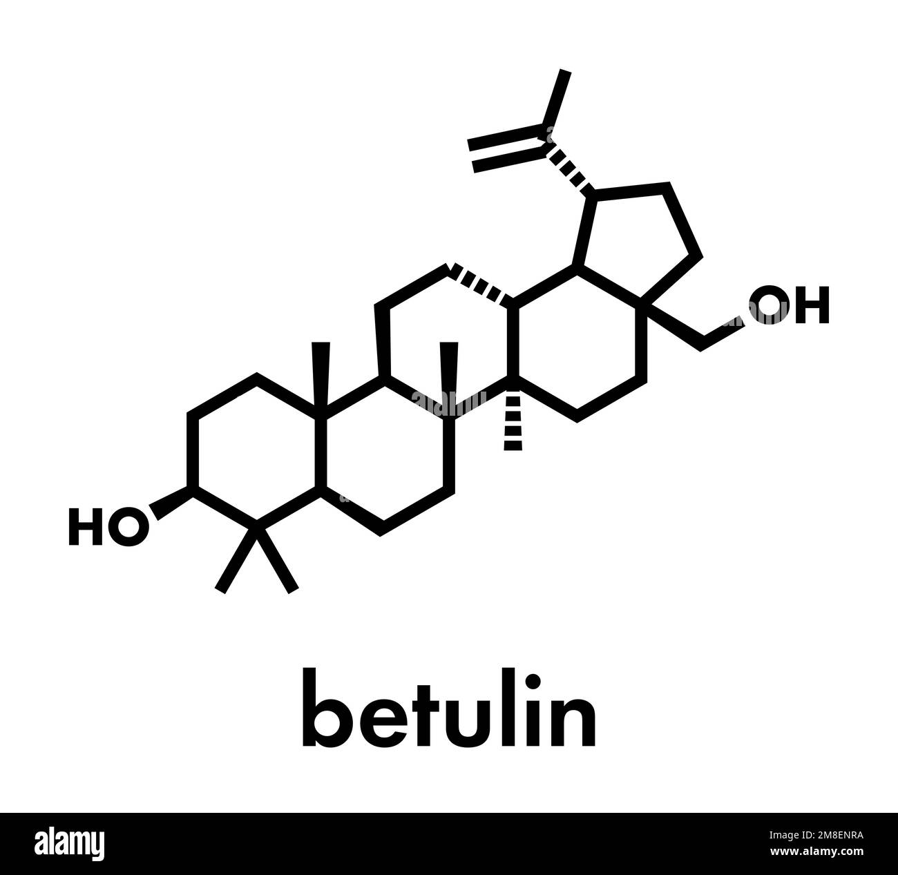 Betulin drug molecule. Isolated from birch tree bark. Skeletal formula