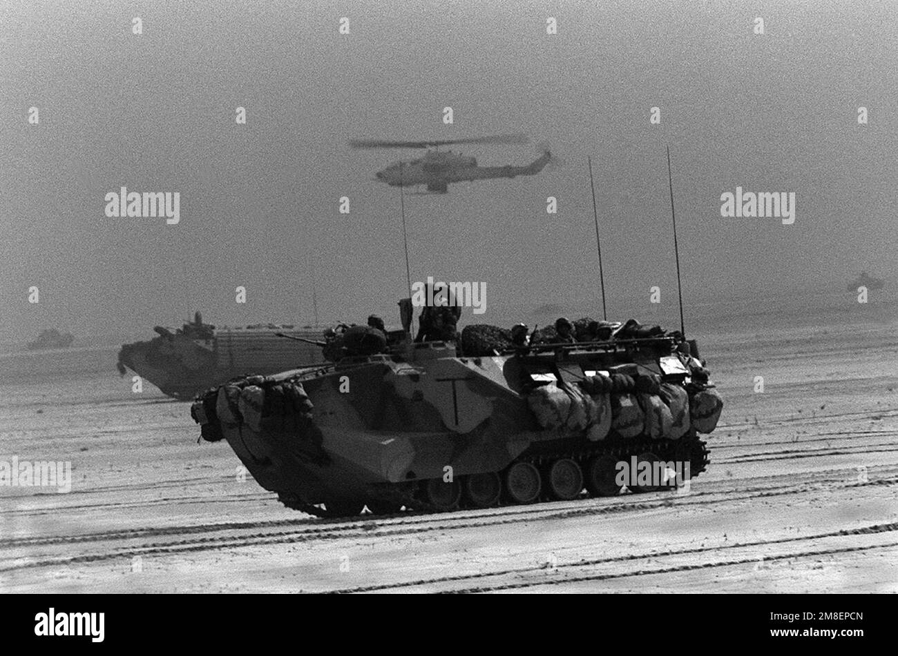 AAV-7A1 amphibious assault vehicles of the 1ST Combat Engineer Battalion (CEB), 1ST Marine Division, advance toward Kuwait City during the third day of the ground offensive phase of Operation Desert Storm. An AH-1 Sea Cobra helicopter is flying in the background. Subject Operation/Series: DESERT STORM Country: Kuwait (KWT) Stock Photo