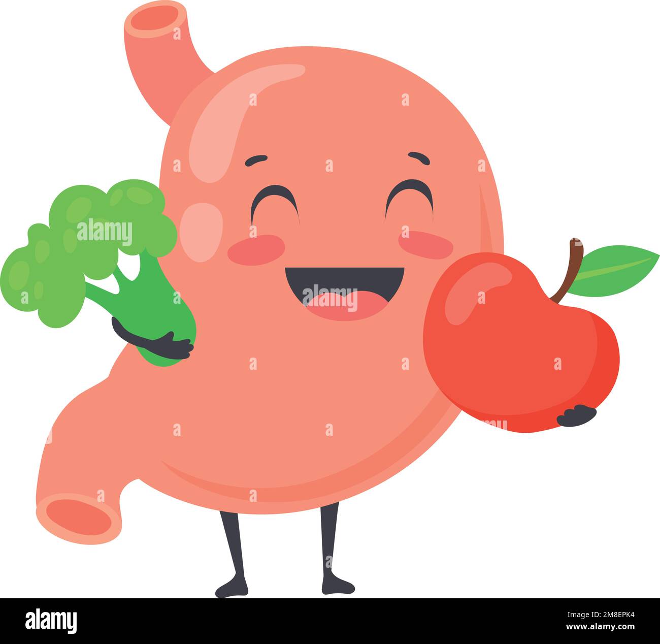 Happy stomach with fresh vegetables and fruits. Healthy nutrition