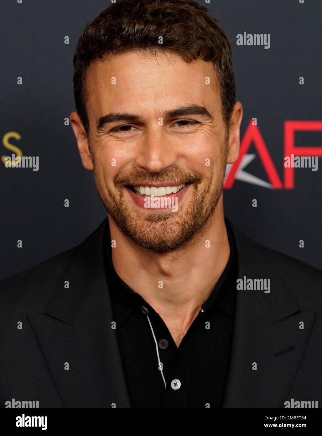 Theo James Four