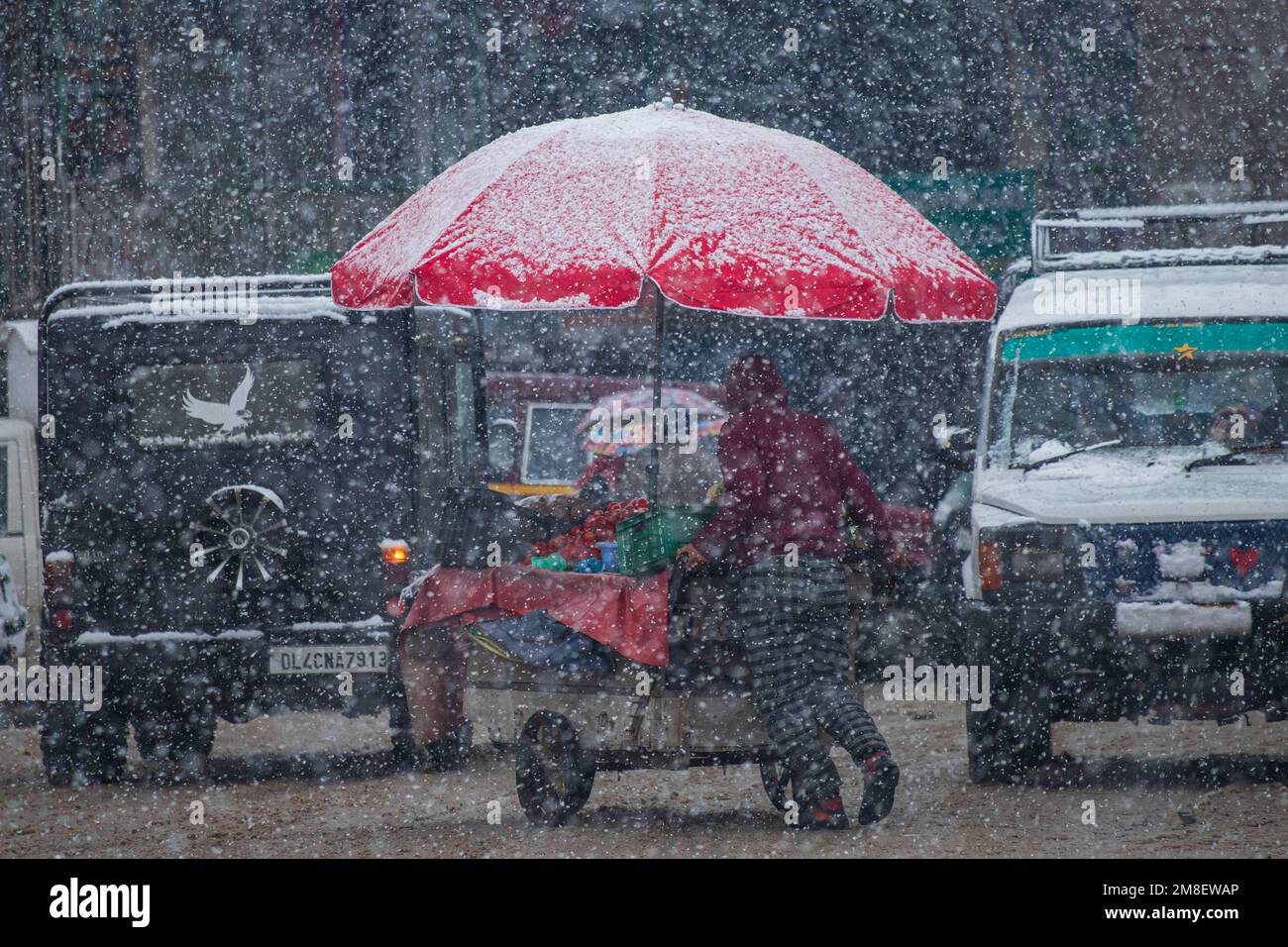 A street vendor pushes his hand cart amid ongoing heavy snowfall on the outskirts of Srinagar. At least two labourers killed on Thursday after an avalanche hits high-altitude area in central Kashmir's Sonamarg. Most parts of Kashmir received fresh snowfall that leading to the closure of Kashmir capital's main highway that connects disputed region with the rest of India. Meanwhile airport authorities suspended all flight operations till further notice due to continuous snowfall and low visibility. (Photo by Faisal Bashir/SOPA Images/Sipa USA) Stock Photo