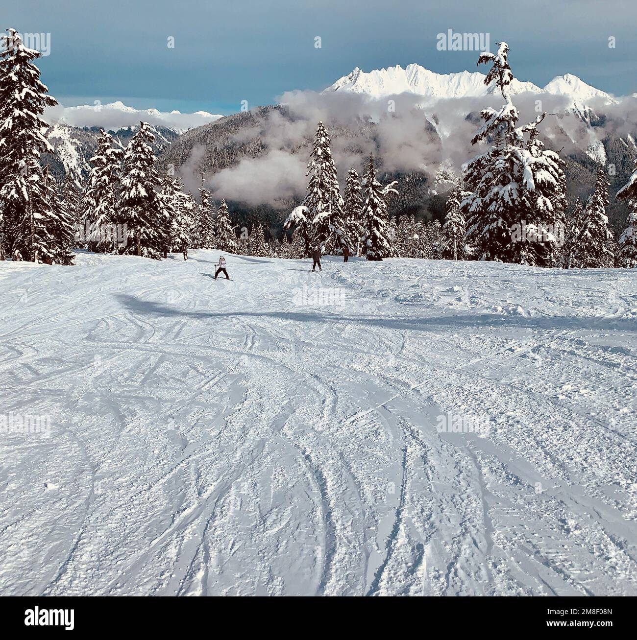 Mount Baker Skiing, Bellingham, Washington Stock Photo Alamy