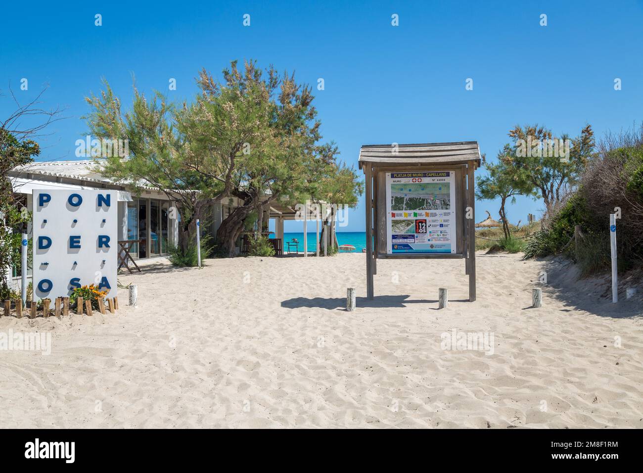 Sandy beach beach Playa de Muro, left beach bar Chiringuito Ponderosa Beach, Can Picafort, Majorca, Spain Stock Photo