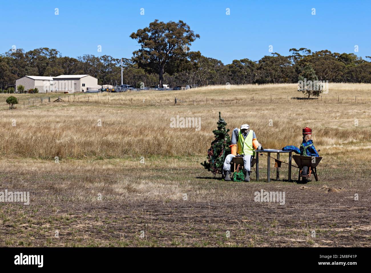 Talbot Australia /  Rural Christmas Tree humour in Talbot Victoria Australia. Stock Photo