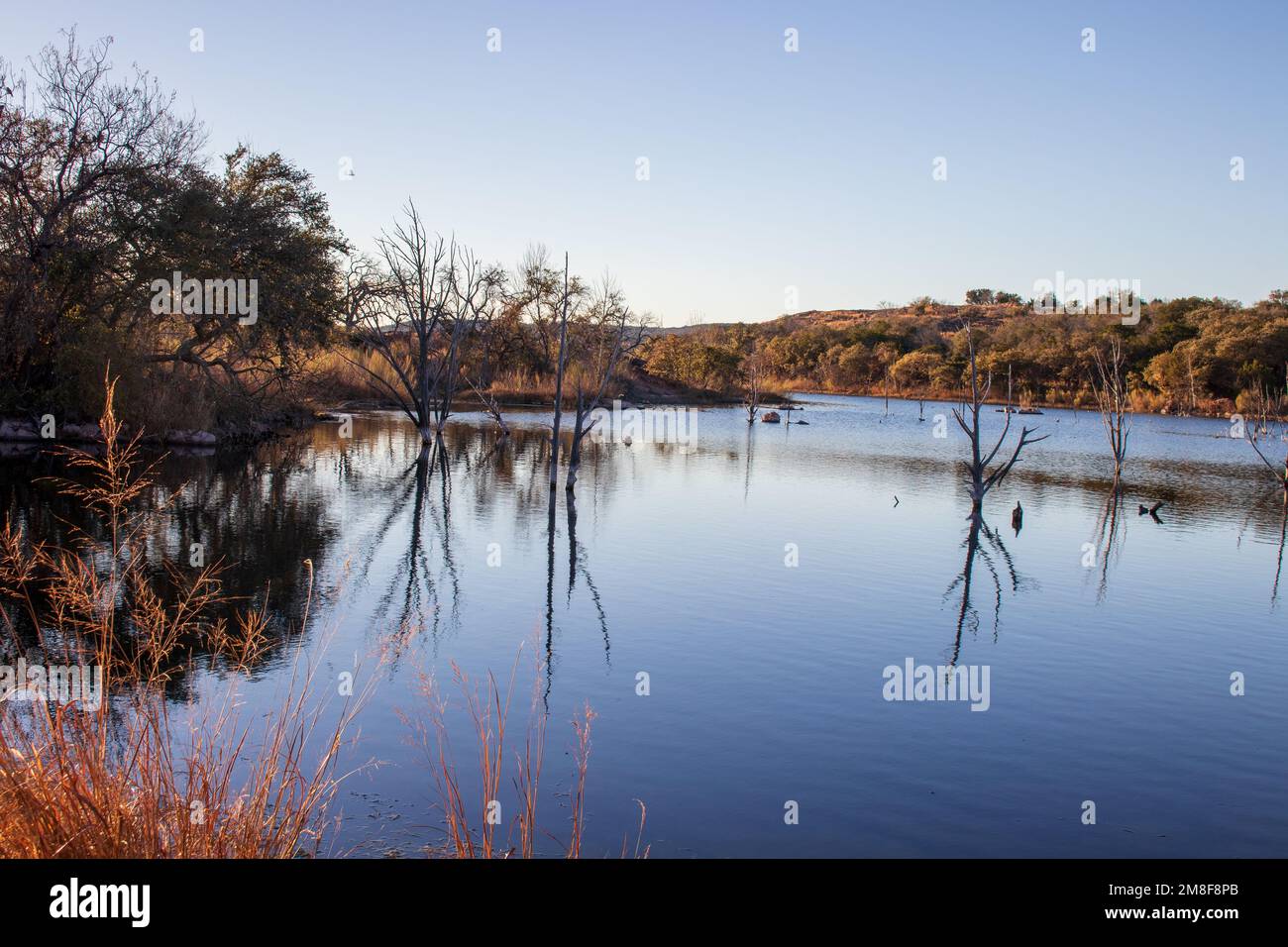 Golden sunset as Autumn color trees reflects off of Inks Lake. Inks Lake State Park Burnet Texas Stock Photo