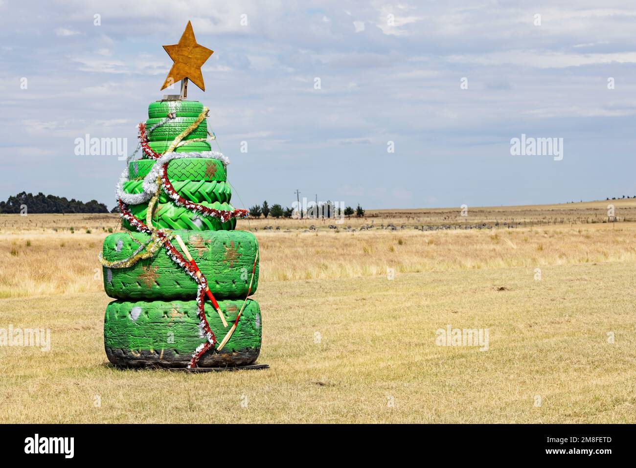 Ballarat Australia /  Rural Christmas tree in Ballarat Victoria Australia. Stock Photo