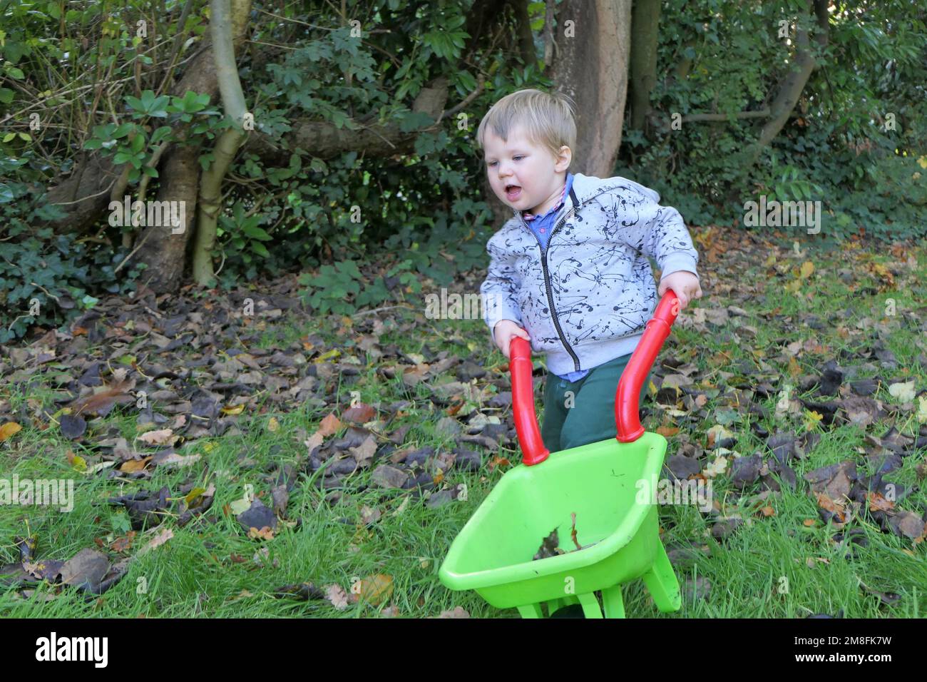 Child playing with wheelbarrow Stock Photo