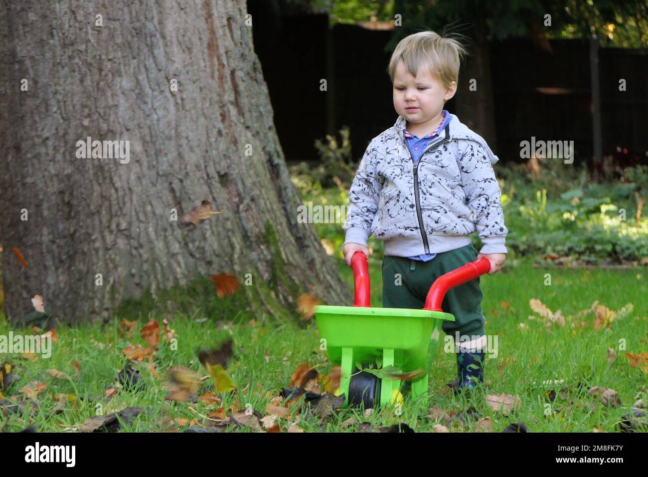 Child playing with wheelbarrow Stock Photo