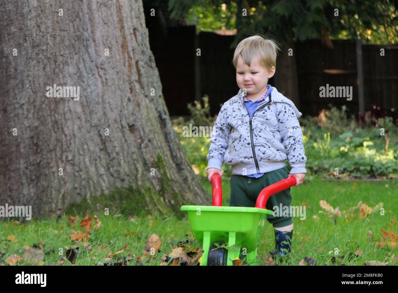 Child playing with wheelbarrow Stock Photo