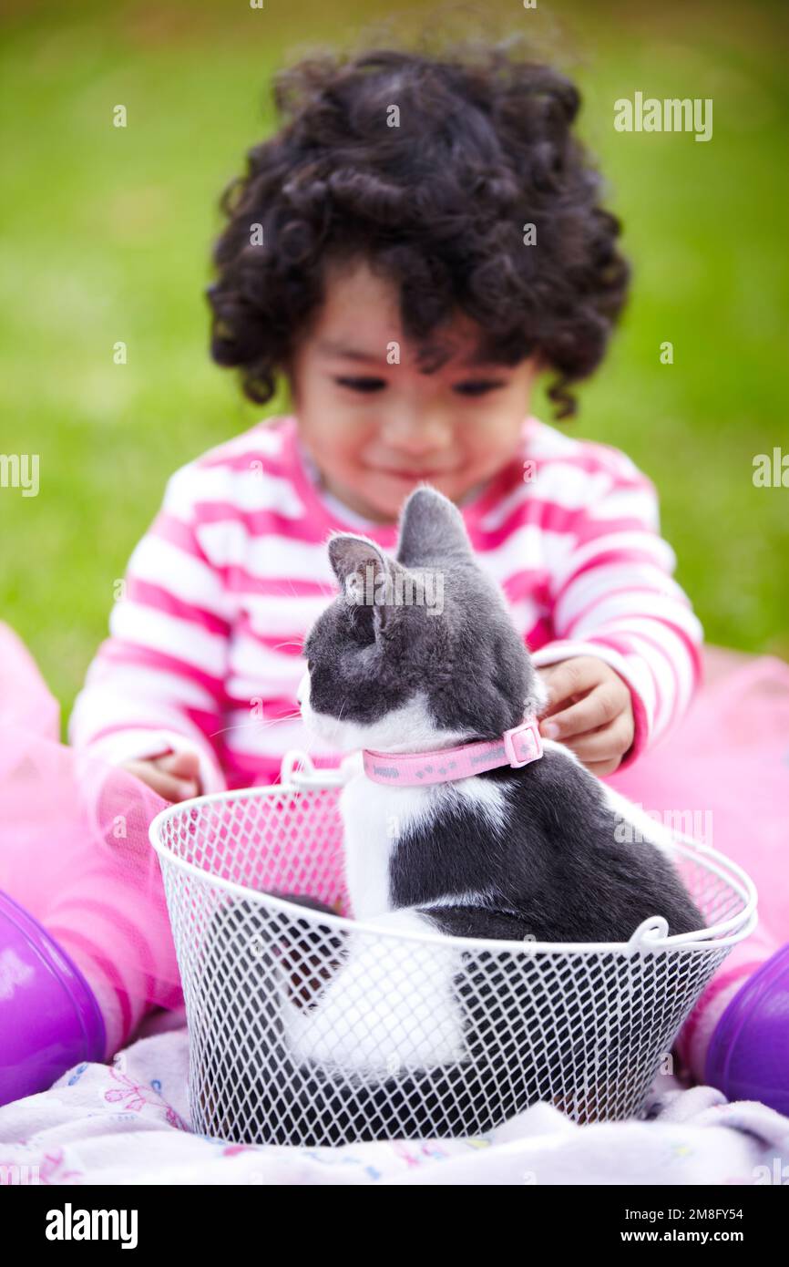 The perfect pet. Cute little girl sitting on the lawn with her cute kitten in a basket. Stock Photo